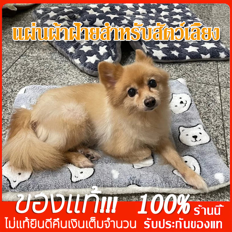 YTL❤️ที่นอนแมว ที่นอนสุนัข เบาะสัตว์เลี้ยง เบาะเสริม❤️