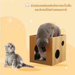 บ้านกล่องลับเล็บแมว ของเล่นแมว กล่องลับเล็บ ที่ฝนเล็บแมว คอนโดแมว ที่ลับเล็บแมว