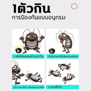 CODยาฆ่าแมลงสาบ 1คืนฆ่าตายหมด ล่อแมลงสาบ ไม่เป็นอันตรายต่อคนและสัตว์เลี้ยง ออกฤทธิ์นาน 2 ปี ที่ดักแมลงสาบ กับดักแมลงสาบ
