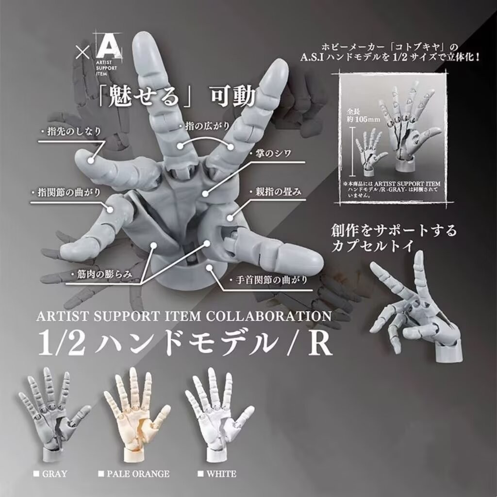 Super Art Art Art Hand 1/2 Scale Finger Joint Poseable Right Hand Model Drawing Reference Figure ของเล่นตกแต่ง