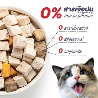 【PET RECORD】🔥 บ้านแมวต้นไม้ 2/3 ชั้น คอนโดแมว ที่ลับเล็บ ที่นอนแมว พับได้ พร้อมของเล่น