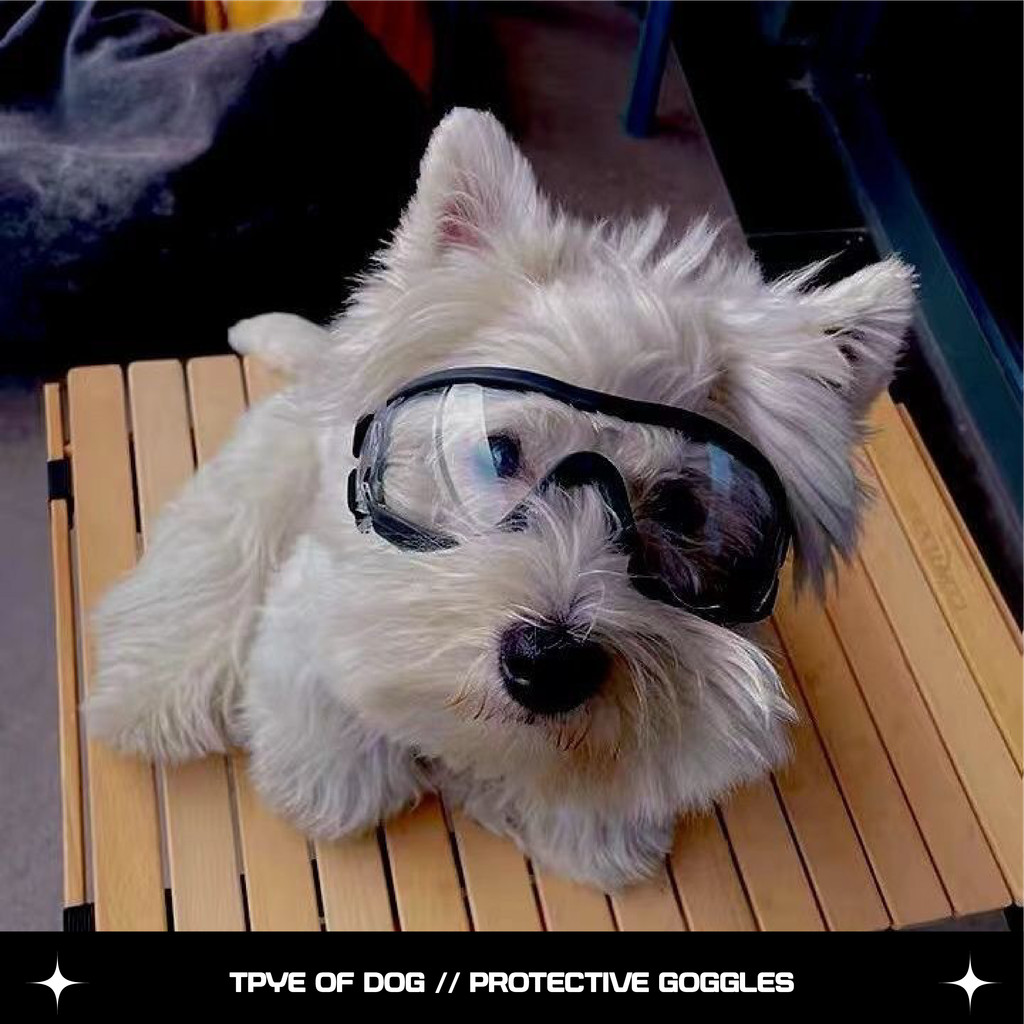 รูปภาพ 2