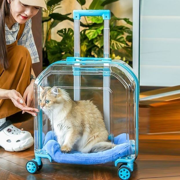 【กระเป๋าลากแมวใส】Pet Outing Trolley Case ความจุขนาดใหญ่โปร่งใส Breathable Cat Space Capsule กระเป๋าเดินทางสุนัขรถเข็นแบบพกพา
