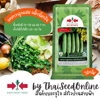 Sorndang(ศรแดง) EWCOM เมล็ดพันธุ์ แตงกวา แม็กนั่มกรีน 50กรัม…