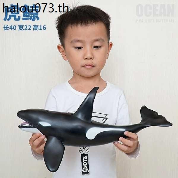 Killer Whale Reverse Halberd Whale Big Whale Whale Shark Killer Shark จําลองของเล่นสัตว์ทะเล Super ข