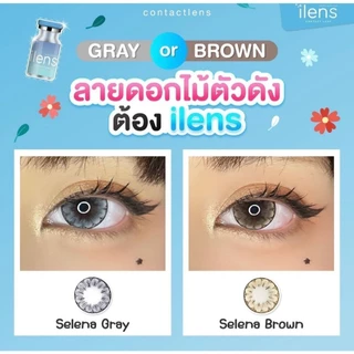 คอนแทคเลนส์(บิ๊กอาย)🔥Selena🔥(ilens) สี : Brown / Gray รายเดือน มีค่าสายตา