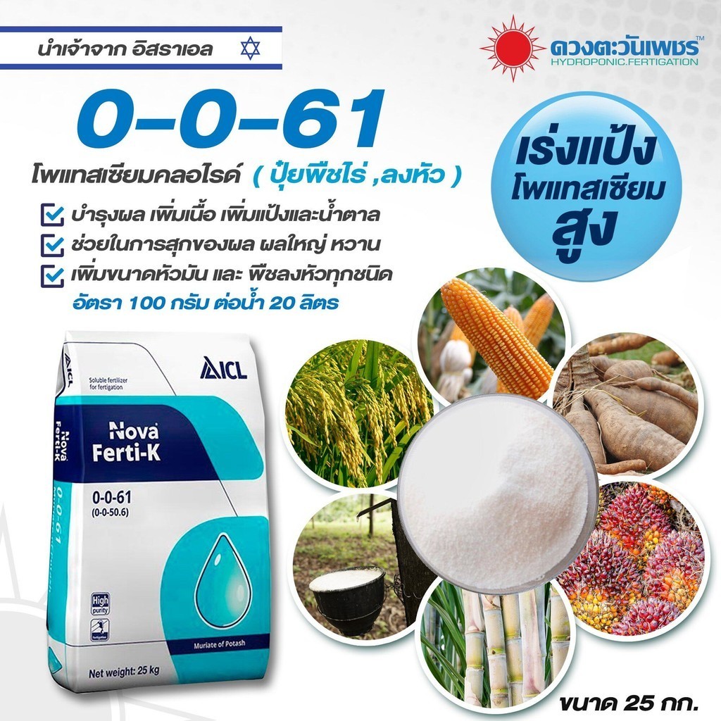 (ยกกระสอบ25kg)แม่ปุ๋ย 0-0-61 โพแทสเซียมคลอไรด์ เพิ่มความหวาน เพิ่มน้ำหนัก ปุ๋ยเกล็ด ปุ๋ยทางใบ ดวงตะว