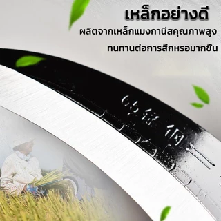 เซน เคียวเหล็กแมงกานีสแท้ มีดหวด มีดขอ มีดตัดกล้วย มีดดายหญ้า ลับคมกริบ น้ำหนักเบาสบาย สามารถต่อด้ามยาวได้ ตรงปก ส่งไว
