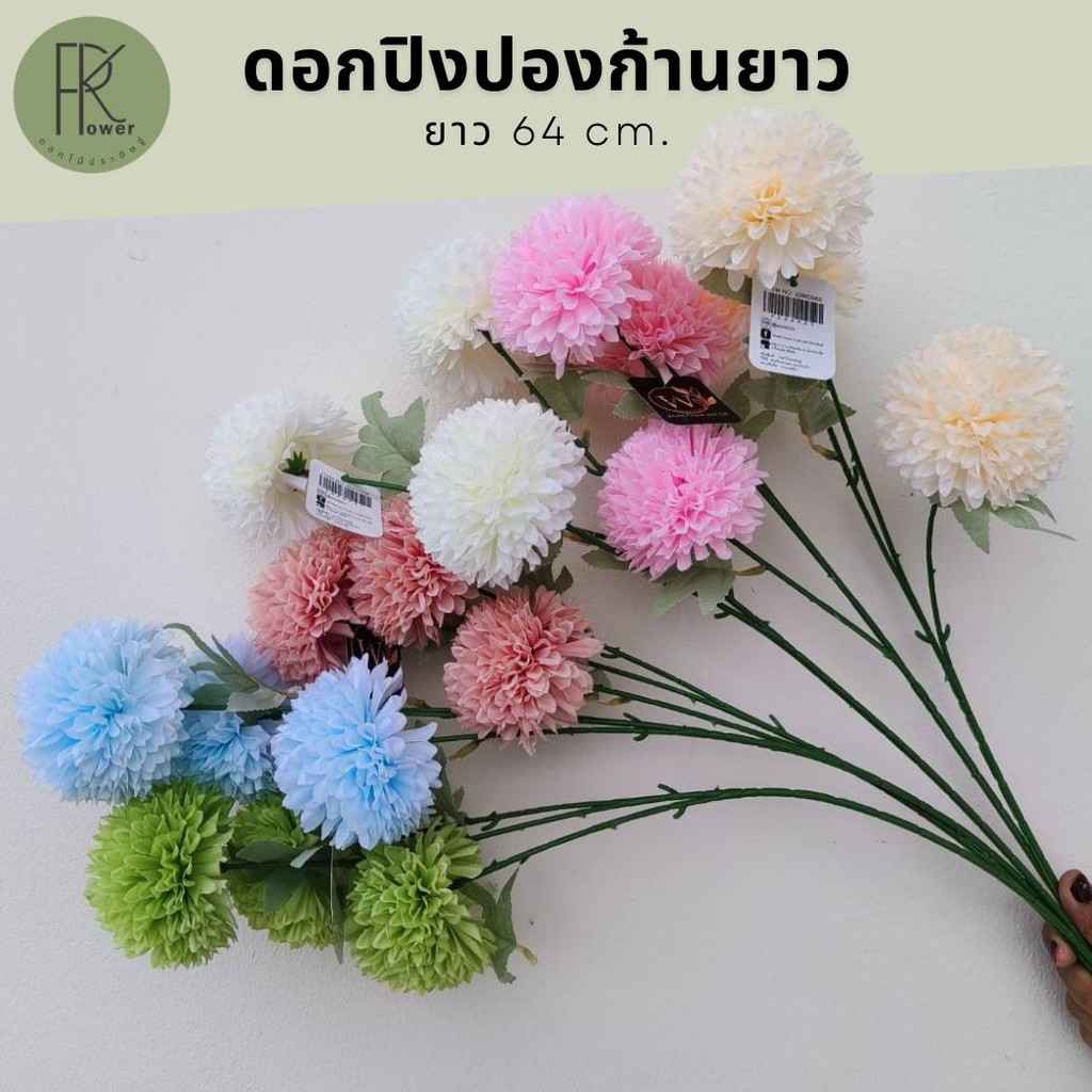 ดอกปิงปองก้านยาว ช่อปิงปอง ปิงปองสี ดอกไม้ประดิษฐ์ ตกแต่งคาเฟ่