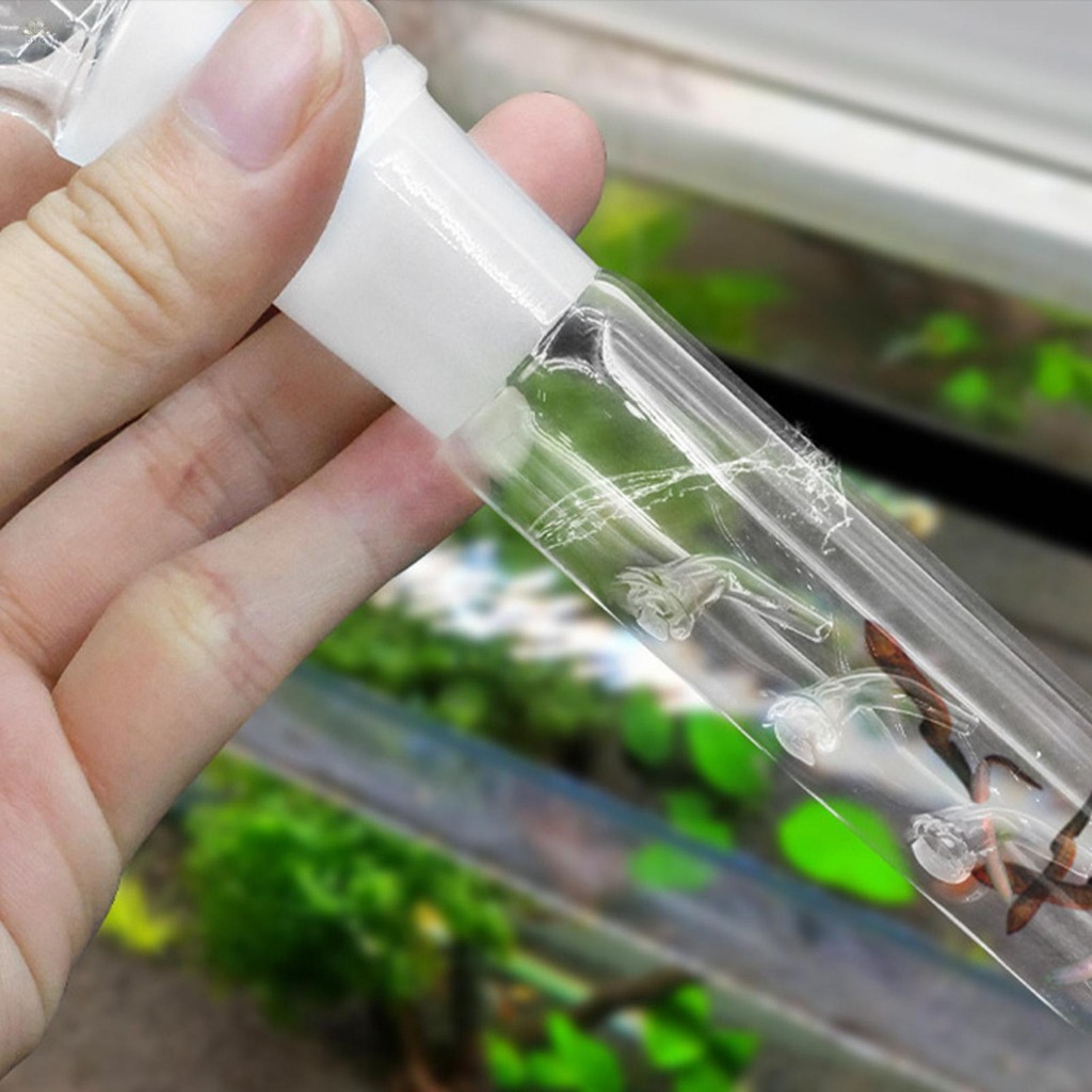 3 หลุมแก้ว Planarian Trap Aquarium Bristle Worm Catcher Snail Trap ลด Planaria Population ในตู้ปลา