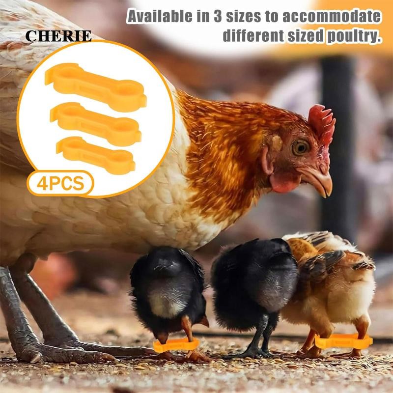 [Chery] 12 ชิ้น Baby Chick Splay Leg Hobble Brace Leg Ties สําหรับเป็ด Bantam Parrot