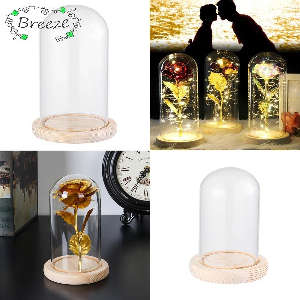 BREEZE ฝาครอบกันฝุ่น Terrarium โต๊ะตกแต่งบ้านขวดใสแจกันแก้ว Jar กล่องเก็บดอกไม้