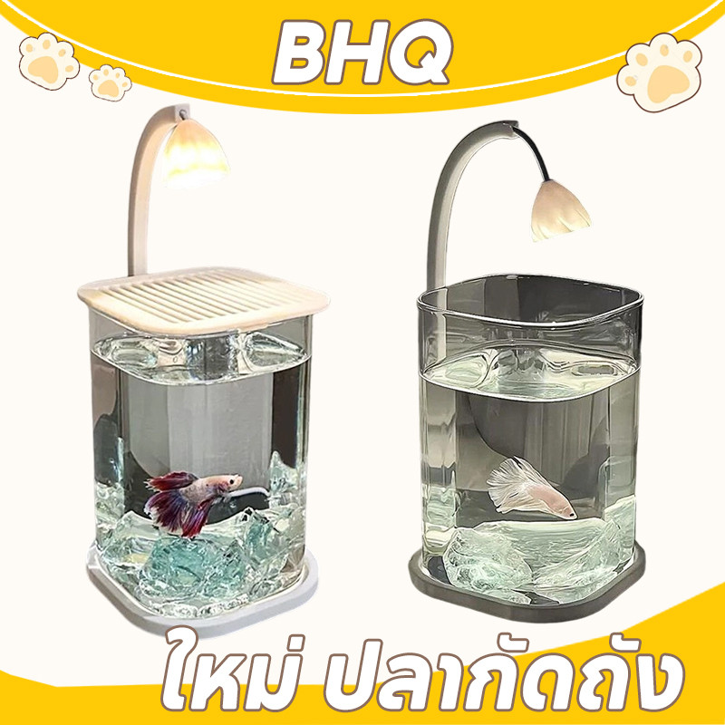 BHQ ใหม่ ปลากัดถัง  ตู้ปลาพลาสติกใส  สำหรับปลากัด วางไว้บนโต๊ะทํางานของคุณ มีไฟ LED สําหรับให้แสงสว่าง