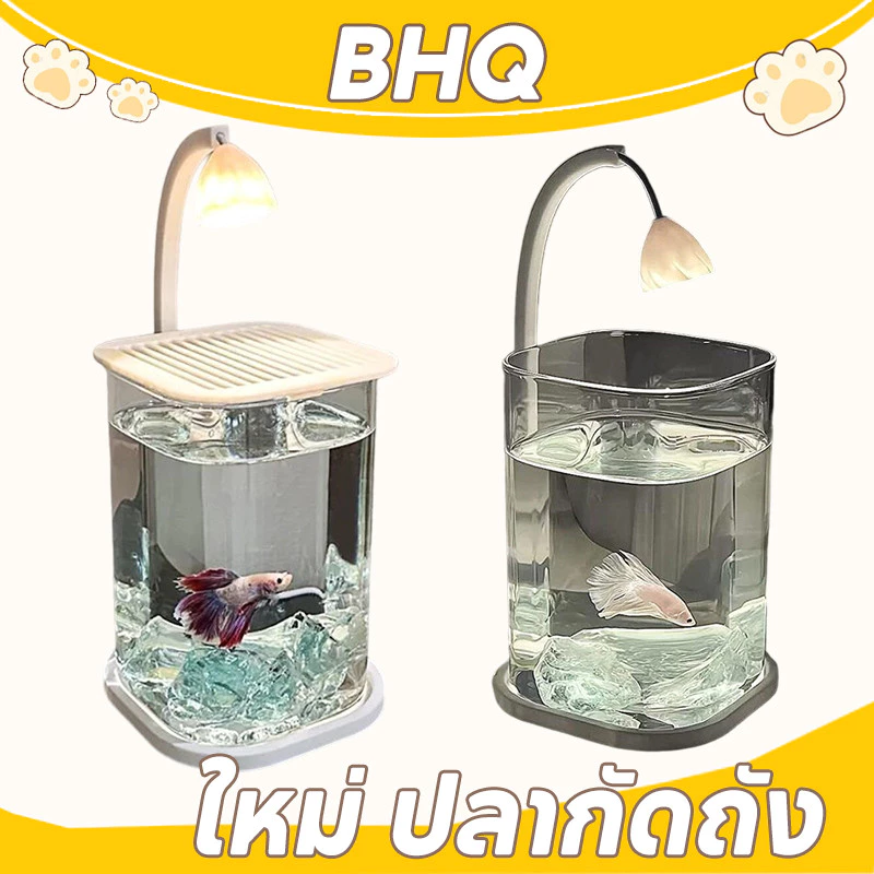 BHQ ใหม่ ปลากัดถัง ตู้ปลาพลาสติกใส สำหรับปลากัด วางไว้บนโต๊ะทํางานของคุณ มีไฟ LED สําหรับให้แสงสว่าง