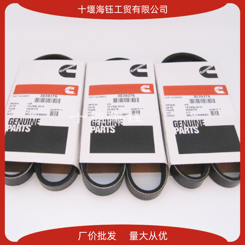 Comins QSK38 Engine Multi-Slot Belt 3805173 3039376 5412990