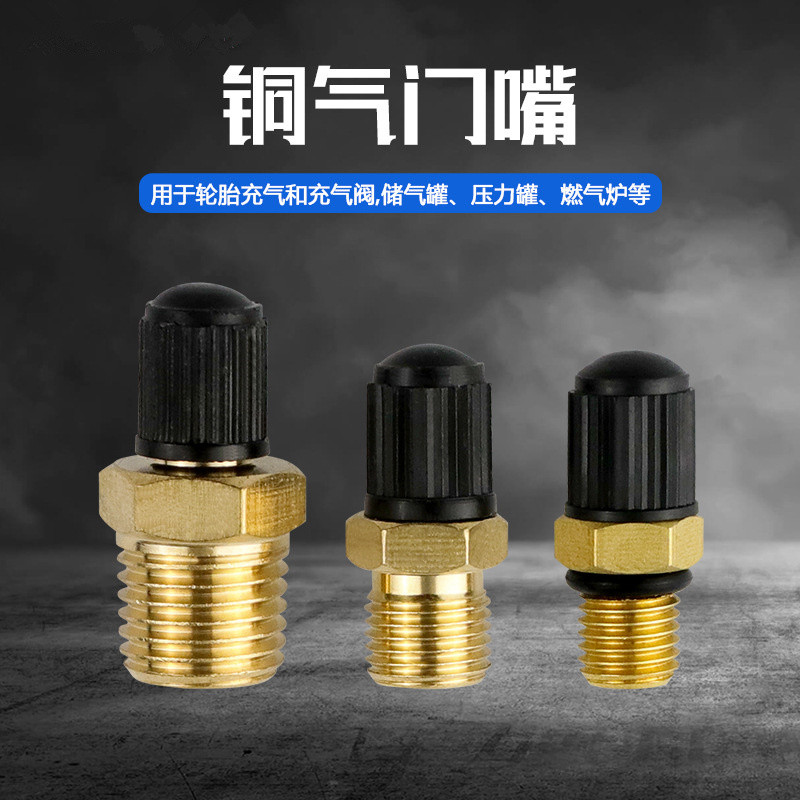 รถยนต์รถจักรยานยนต์จักรยานยางวาล์วแกน 1/8 npt 1/4 npt ทองแดงวาล์ว ม8 * 1 วาล์วทองแดง – โปรปัง