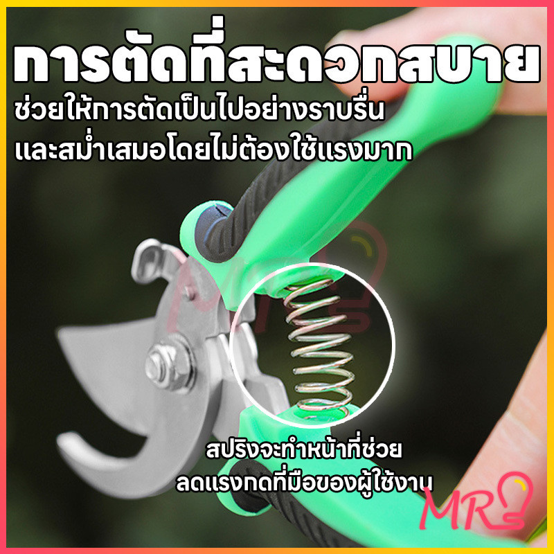 กรรไกรตัดกิ่งไม้ กรรไกรแต่งกิ่งปากโค้ง กรรไกรทำสวน มีหลายสีให้เลือก กรรไกรตัดกิ่ง แบบสเตนเลส รูปที่ 3