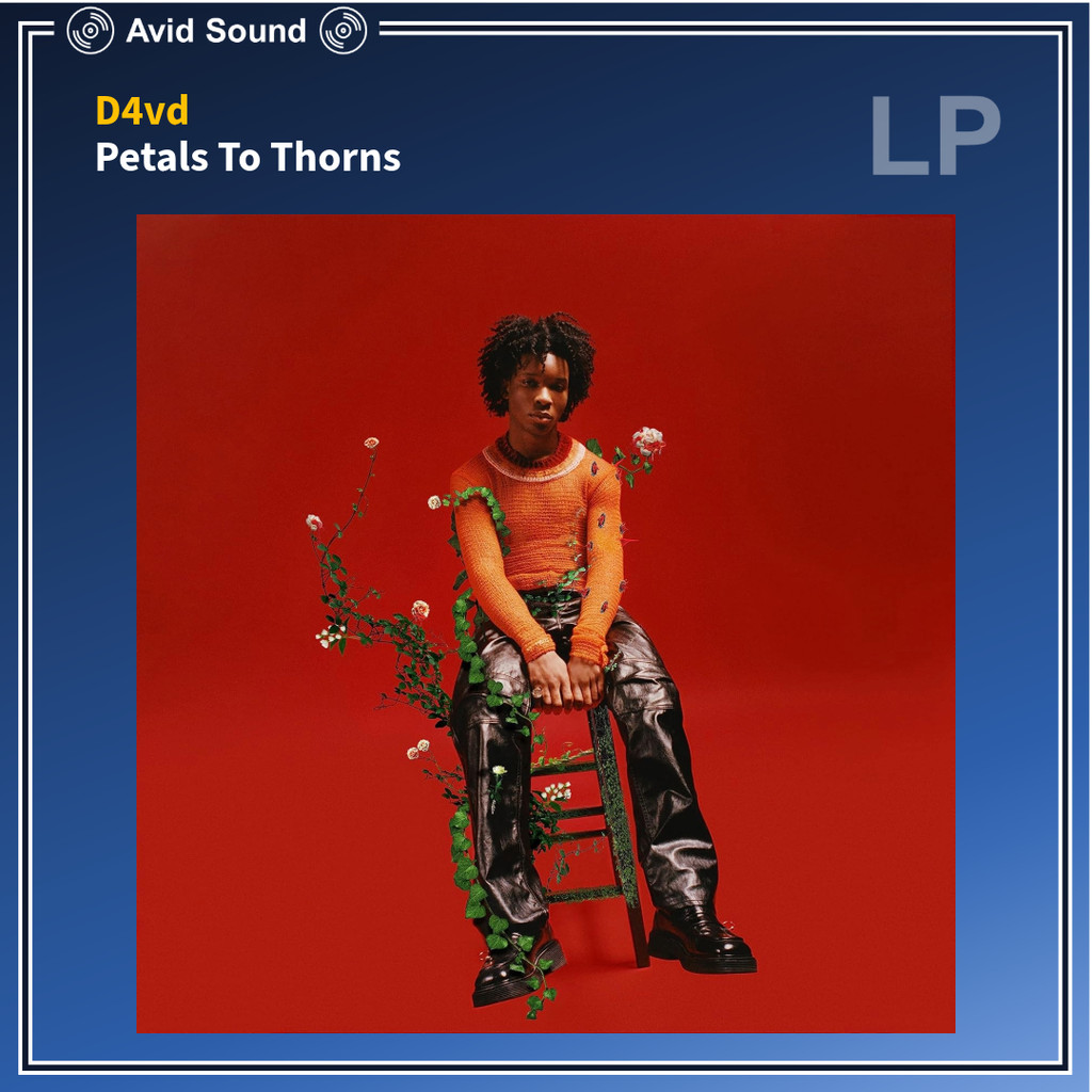 แผ่นเสียง D4vd Petals To Thorns ใหม่ ซีล D4vd Vinyl LP