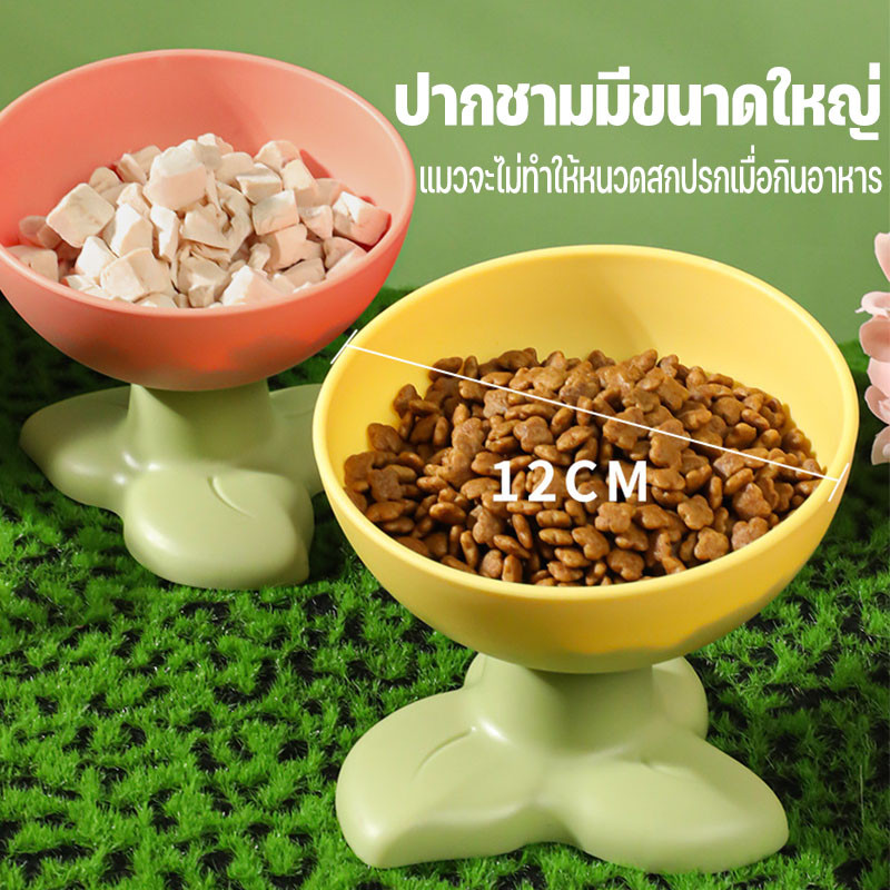 ชามสำหรับสัตว์เลี้ยง ที่ใส่อาหารสัตว์เลี้ยง ชามข้าวสุนัขและแมว เอียง 15 องศา ด้านล่างไม่ลื่น - รูปที่ 5
