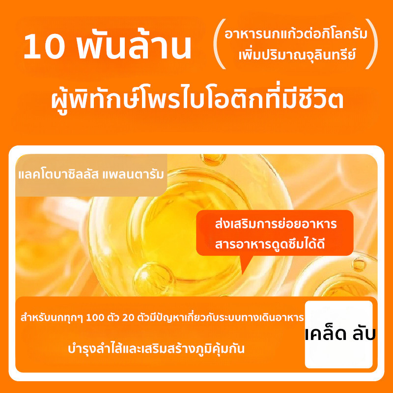 COD อาหารนกแก้ว 500g อาหารนกแก้วฟอพัส อาหารนกแก้วกรีนชีค อาหารนกเฉพาะ เหมาะสําหรับ  อาหารนกค๊อกคาเทล - รูปที่ 4