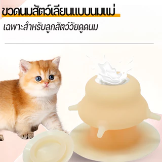 ขวดนมแมว4ทาง จุกนมแมว ให้อาหารแมว ซิลิโคนเกรดอาหาร ฟื้นฟูประสบการณ์การดูดนมจากแม่แมว ป้องกันการสําลัก