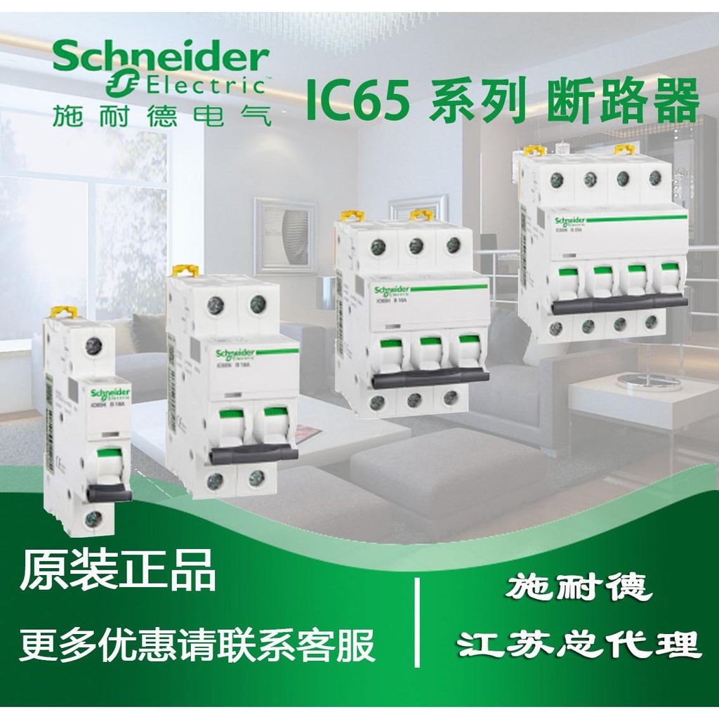 Original Schneider Electric Miniature Circuit Breaker IC65H 1p 2P 3p 4p Air Switch A9f29206 ~ A9f29240 10ka