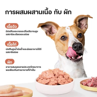 【PET RECORD】🔥อาหารเปียกสุนัข 430g เนื้อสัตว์แท้ ธรรมชาติ โภชนาการครบ สำหรับลูกสุนัข อร่อย ย่อยง่าย