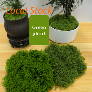 【ได้รับใน 1-3 วัน】มอสเทียม หญ้าปลอม สีเขียว สําหรับตกแต่งบ้า…