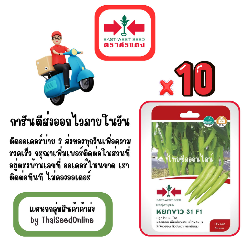 GG x 10 เมล็ดผักซองศรแดง หยกขาว พริกหนุ่มขาว สินค้ายกแพ็ค