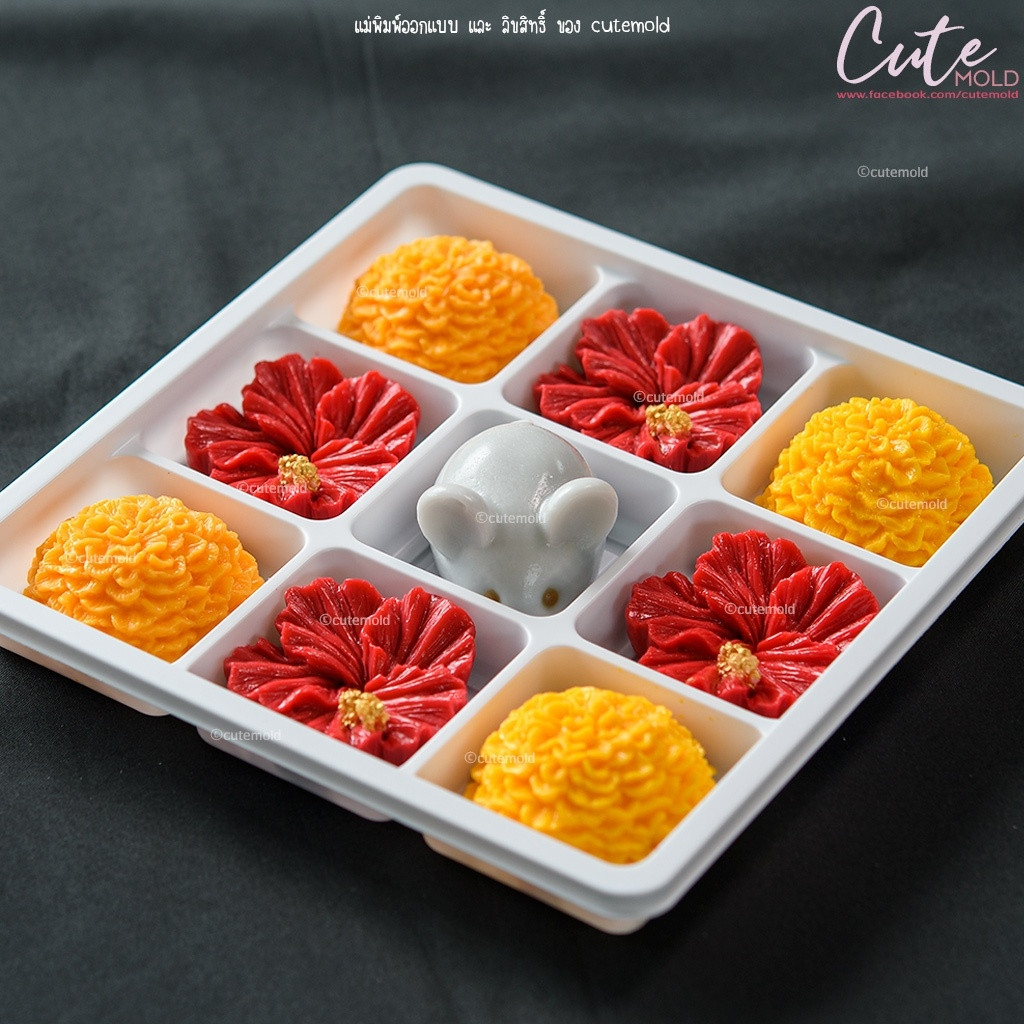 มีสินค้า/ แม่พิมพ์ อาลัว สัมปันนี วุ้น แม่พิมพ์ฟองดอง ดาวเรือง ชบา พุดตาน x27 x29 x31 x32 x35 x36 x25 x33 x34 (เลือกแบบ) - รูปที่ 2