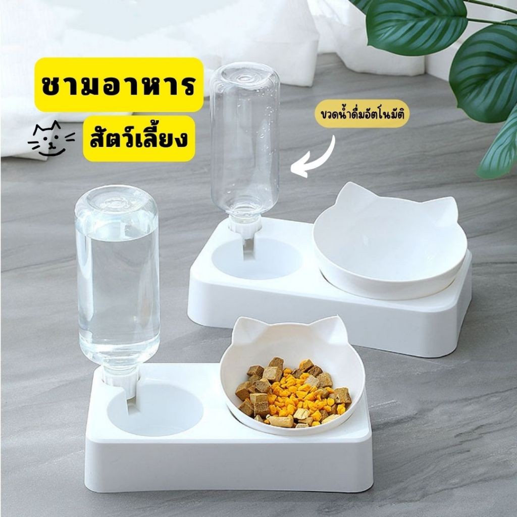 ชามให้อาหารพร้อมน้ำสำหรับสุนัขและแมว ชามให้อาหารสัตว์เลี้ยง ชามให้อาหารแมว 2 in 1