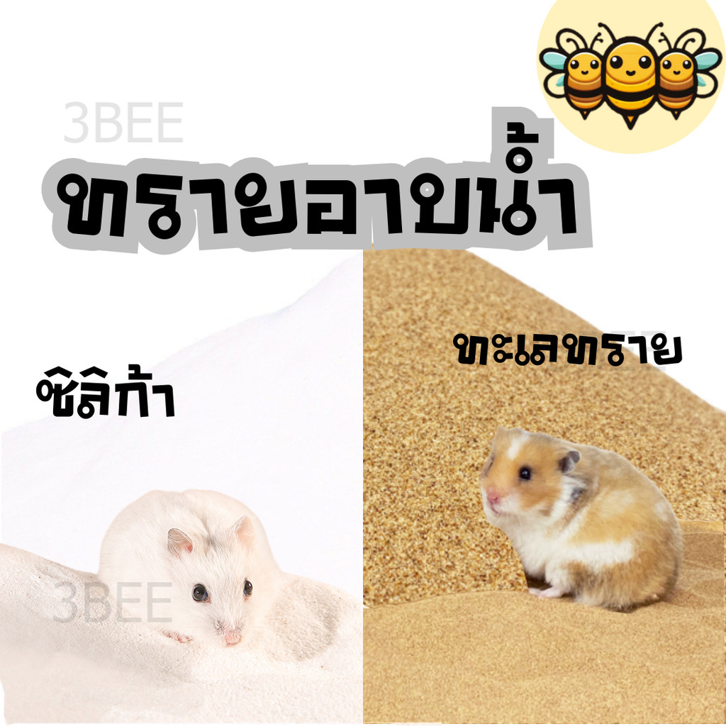 3B ทรายอาบน้ำแฮมสเตอร์ ทรายห้องน้ำแฮมสเตอร์ ทรายรองพื้นเม่นแคระ