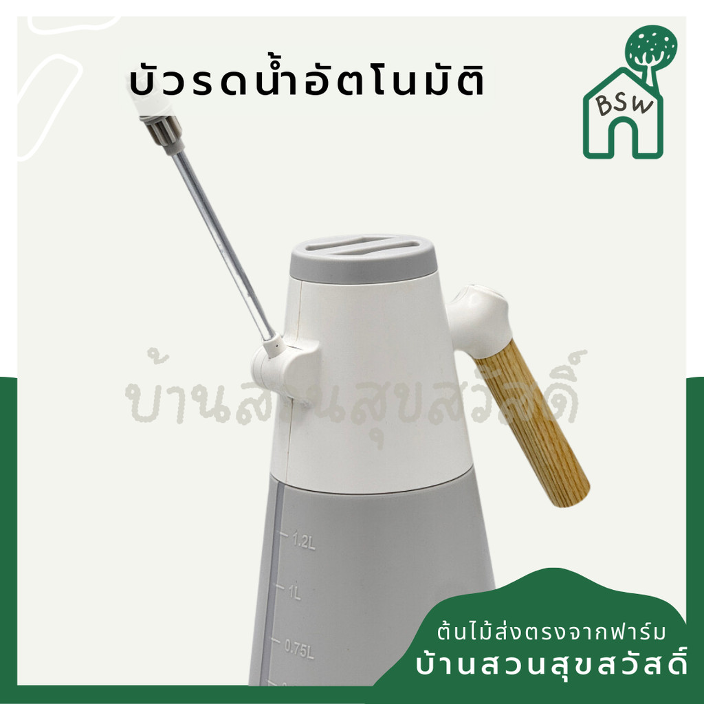 มุมมอง 2