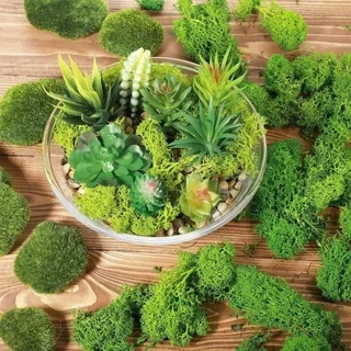 มอสจําลอง มอสสีเขียว DIY มอสปลอม สําหรับตกแต่งบ้าน สวน