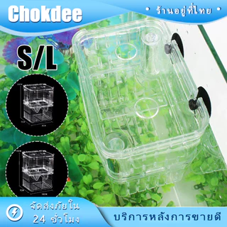 ร้านคนไทย! ตู้แยกปลาคลอดลูก 2ช่อง เพาะพันธุ์ปลา กล่องคลอดปลา แยกปลา สองขนาด