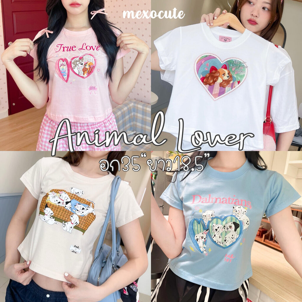 mexocute♡ (อก34”ยาว19”) เสื้อครอปเบบี้ที ทรงพอดีตัว เดอะพัมกิ้น