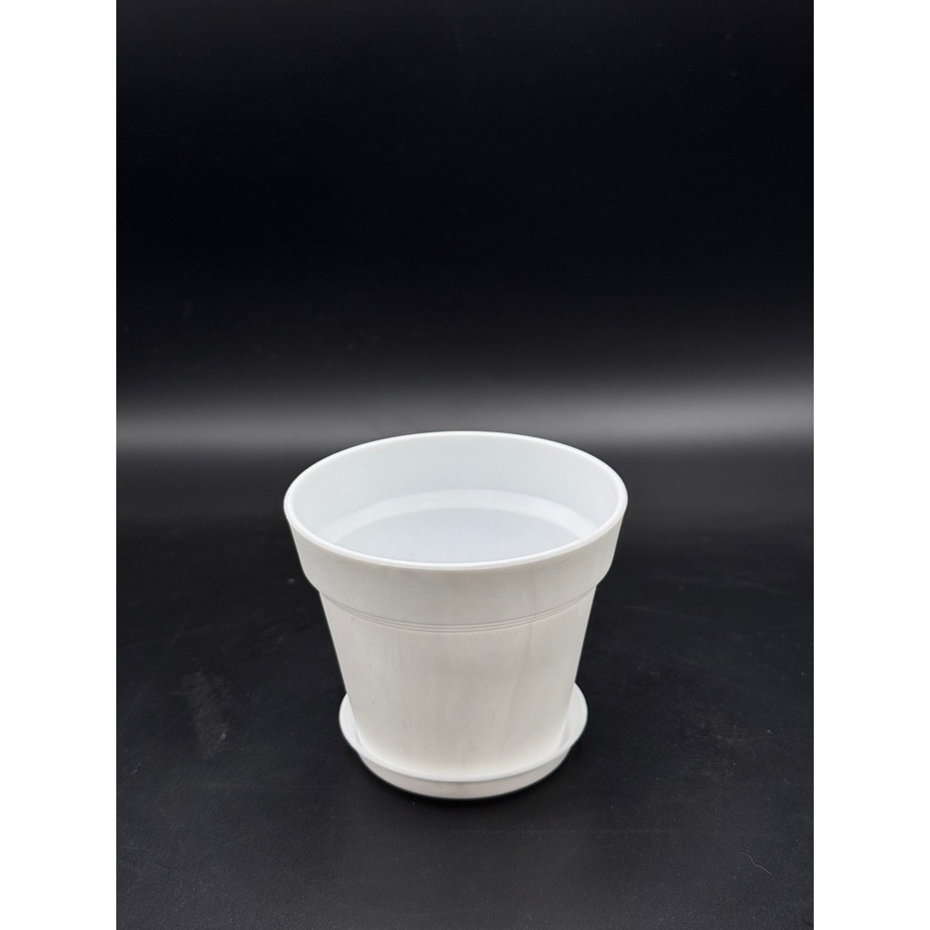 มุมมอง 6