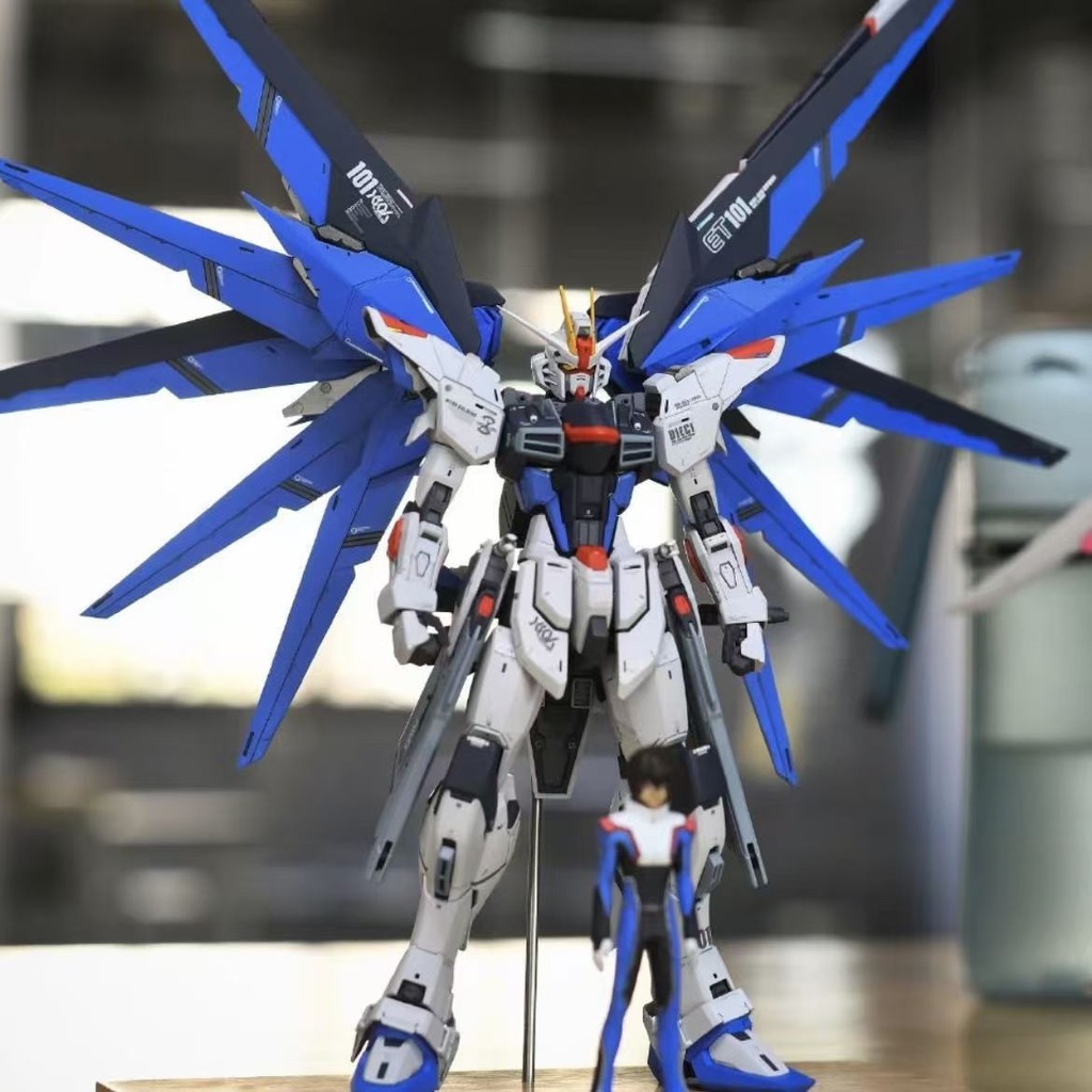 JMS Gundam HG 1/144 ทารกแรกเกิด Freedom Warrior สีหลักกันดั้มประกอบรุ่นฟรีวงเล็บสติกเกอร์น้ํา