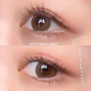 คอนแทคเลนส์(มินิ)🔥Mini Primo🔥(Kitty Kawaii) สี : Brown / Gray รายเดือน มีค่าสายตา