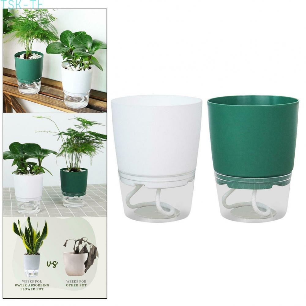 [TSKTH]Plant Pot 1PC 8.8cm X 6.8cm X 11.6cm Violet Pots African Garden Brand New[Ready stock]