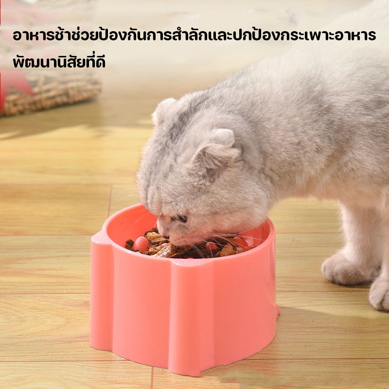 AimayaPet ชามอาหารสัตว์เลี้ยง ลดการกินไว ชามอาหารแมว ป้องกันการสําลัก ชามอาหารสุนัข ป้องกันการสําลัก ลายการ์ตูน - รูปที่ 3