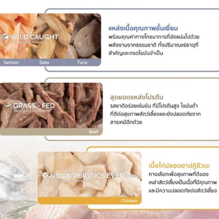 [6/12 กระป๋อง] Felina Canino อาหารเปียกสุนัข Single Protein เนื้อเน้นๆ ไม่เติมเกลือ ขนาด 85 กรัม