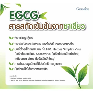 อีจีซีจี กิฟฟารีน EGCG GIFFARINE | สารสกัดชาเขียว ควบคุมน้ำหนัก ลดไขมัน