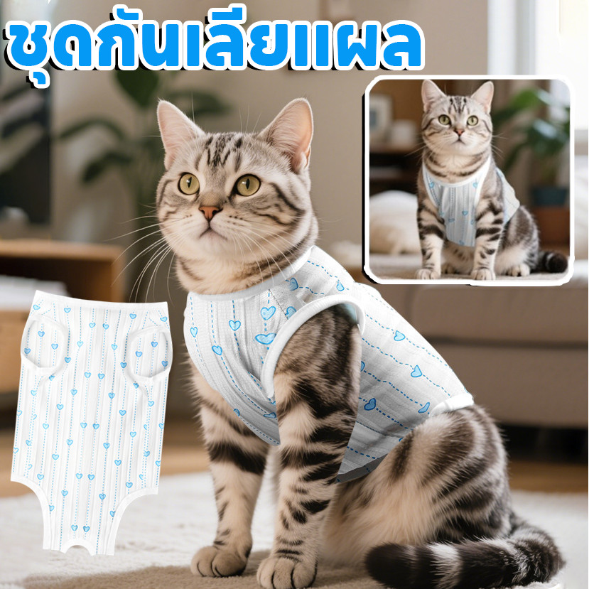 เสื้อทำหมันสัตว์เลี้ยง เสื้อทำหมัน เสื้อหลังผ่าตัด ชุดกันเลียแผล ผ้ายืด นิ่ม สีสวย เสื้อแมว