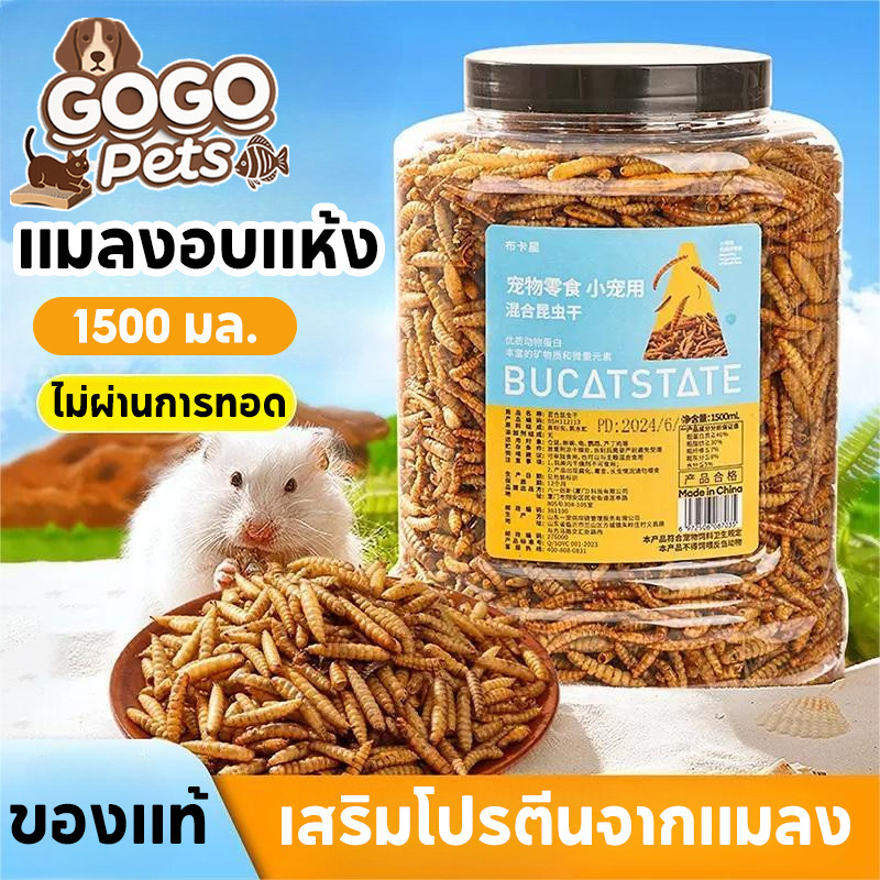 COD หนอนอาหารแห้ง หนอนอบแห้ง อาหารหนูแฮมเตอร์ หนอนนก สัตว์เลี้ยงแมลงแห้ง แว๊กรำข้าวสาลี 1500m