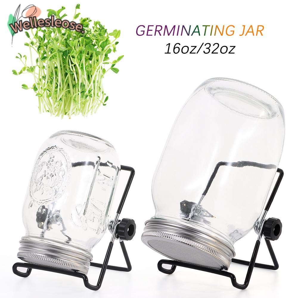 WELLE Sprouting Jars สแตนเลสสวนเครื่องมือ Sprouts ปลูกห้องครัวที่บ้านพร้อมฝาปิดหน้าจอ