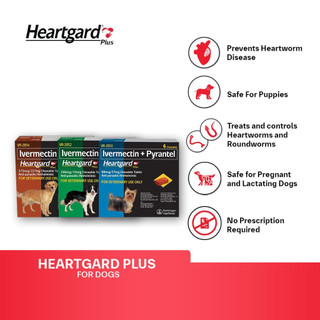 Heartgard Plus For Dogs Treats & Controls Hookworms and Roundworms 6 Chews / Box