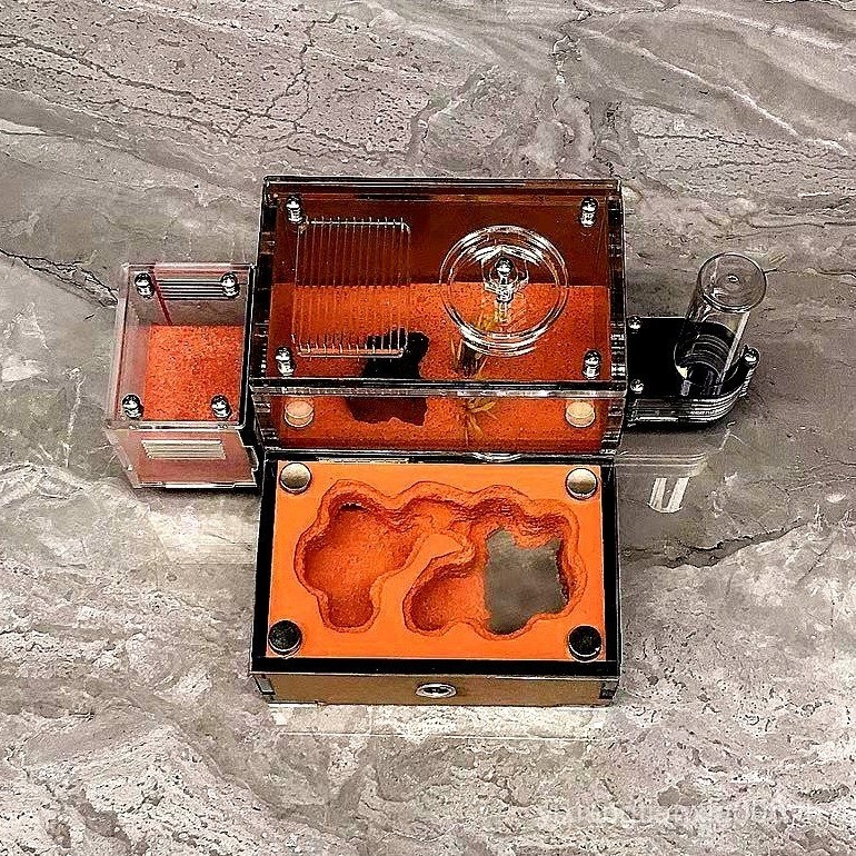 Xiaotingyuan Ant Nest ปราสาทหอน้ําเดี่ยวสัตว์เลี้ยง Ant Queen Breeding การประชุมเชิงปฏิบัติการนิเวศว