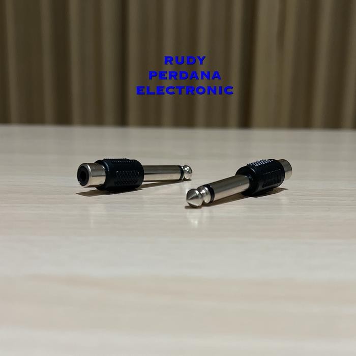ZL99 CONNECTION I SOCKET RCA TO JACK AKAI 6.5MM MONO พลาสติก PVC