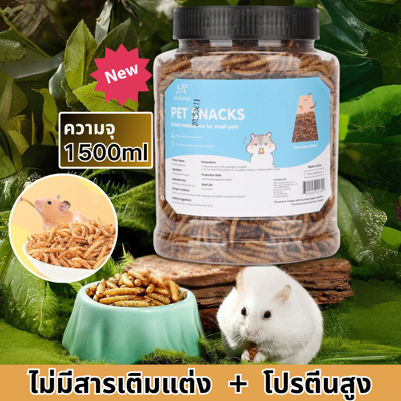 หนอนอาหาร 1500ml หนอนอบแห้ง หนอนอาหารแห้ง อาหารหนูแฮมเตอร์ สัตว์เลี้ยงแมลงแห้ง หนอนแว๊กรำข้าวสาลีอบแห้ง